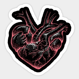 Anatomically (In)correct Heart Sticker